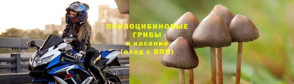 прущие грибы Володарск