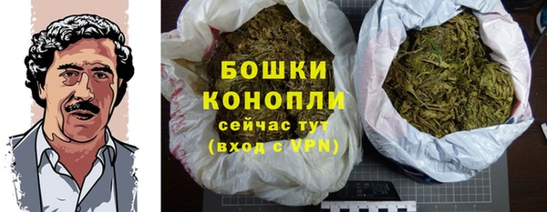 прущие грибы Володарск